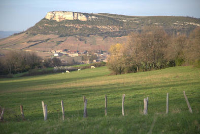 Macon Vineyards and Town of Vergisson